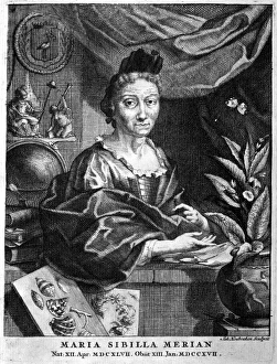 Anna Maria Sibylla Merian Gallery: Anna Maria Sibylla Merian (1647-1717)