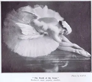Anna Prints: Anna Pavlova in her famous The Death of the Swan dance, 1925