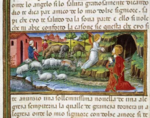 Joachim Gallery: Annunciation of the angel to Joachim. Codex of Predis (1476)
