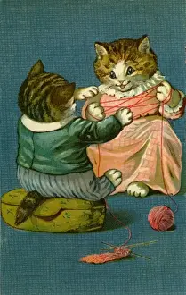 Anon. Cats cradles