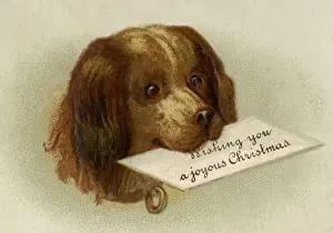Anon. Dog with message. jpg
