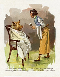 Images Dated 28th April 2011: Anon McLoughlin. Barber barber shave a pig