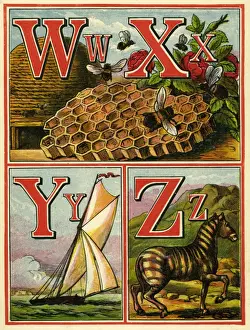 Hives Prints: Anon. Warne alphabet 1875. WXYZ
