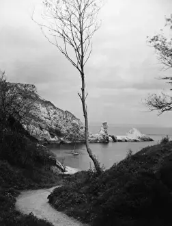 Ansteys Cove