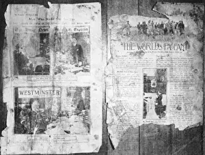 Copies Prints: An Antarctic Bystander
