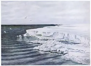 Antarctic / Cape Crozier