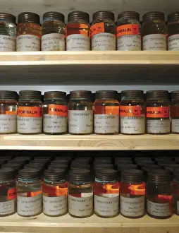 Spirit Jar Prints: Antarctic Discovery Collections