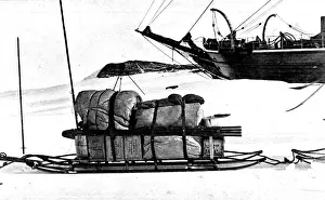 Antarctic Expedition Sledge, c. 1903
