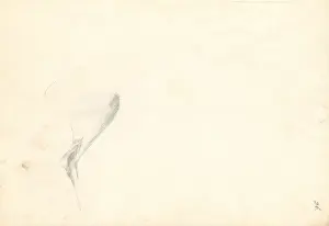 Antelope