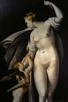 Images Dated 5th October 2014: Anthonie Blocklandt van Montfoort (1533 / 1534-1583) Dutch pai