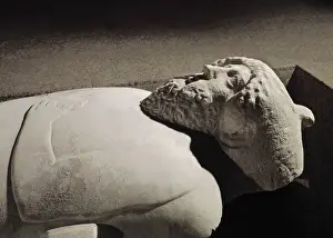 Cf9 Z Prints: Anthropoid Sarcophagus. 4th c. BC. Detail. Phoenician