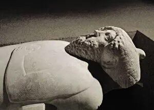 Cadiz Gallery: Anthropoid Sarcophagus. 4th c. BC. Detail. Phoenician