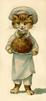 Anthropomorphic Gallery: Anthropomorphic Cat