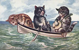 Anthropomorphic cats