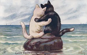 Anthropomorphic cats
