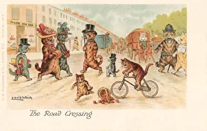 Anthropomorphic cats