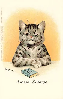 Anthropomorphic cats