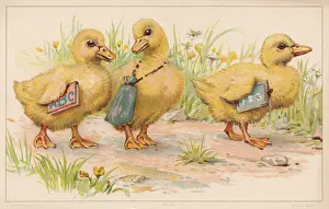 Anthropomorphic Humour
