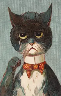 Anthropomorphic Humour