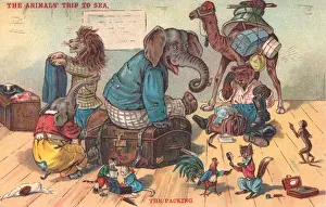 Anthropomorphic Humour