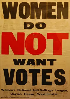 Images Dated 17th October 2013: Anti-Suffrage League Poster