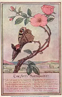 Refusing Prints: The Anti-Suffragist