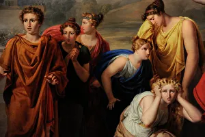 Images Dated 10th July 2019: Antilochus takes news to Achilles - Rafael Tegeo