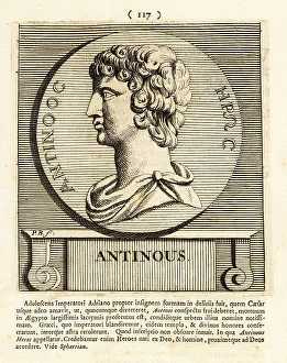 Gods And Heroes Prints: Antimous, lover of Roman Emperor Hadrian