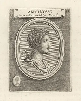 Ridolfino Venuti Prints: Antinous, lover of the Roman Emperor Hadrian