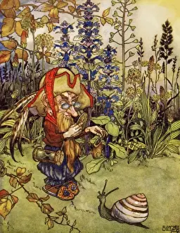 The Antiquary