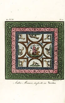 Antique Roman mosaic discovered in Yverdon-les-bains