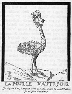 Images Dated 20th March 2018: ANTOINETTE AS OSTRICH