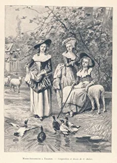 Antoinette Gallery: Antoinette Shepherdess