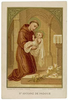 Infant Collection: Antony of Padua