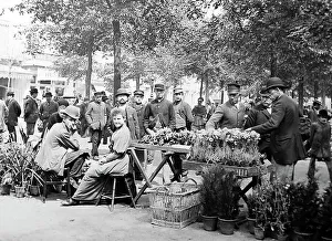 Antwerp Flower Market, Victorian period