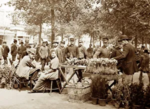 Antwerp Flower Market, Victorian period