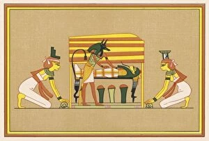Anubis Gallery: Anubis / Osiris / Brown Bg