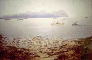 Anzac Gallery: Anzac Cove, Gallipoli, 1915