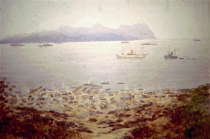 Anzac Gallery: Anzac Cove, Gallipoli, 1915