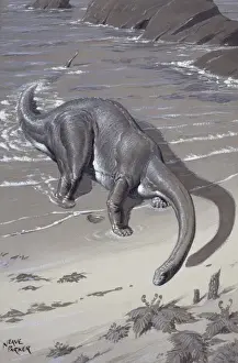 Diapsida Prints: Apatosaurus, previously known as Brontosaurus