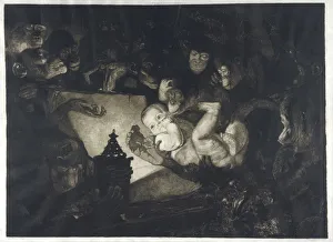 Darwin Gallery: APES, MONKEYS & BABY APES, MONKEYS & BABY