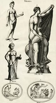 Aphrodite Collection: Aphrodite - Venus