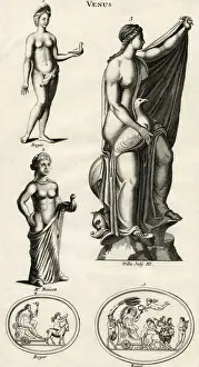 Aphrodite Prints: Aphrodite - Venus
