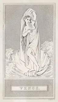 Aphrodite / Venus