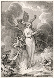 Aphrodite / Venus