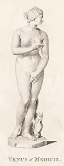 Aphrodite / Venus