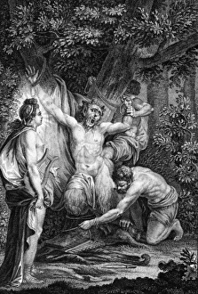 Defeated Gallery: APOLLO