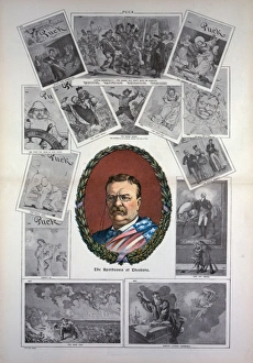 Apotheosis Gallery: The apotheosis of Theodore