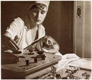 Apparatus that Assist the Remedies of Nature 1933