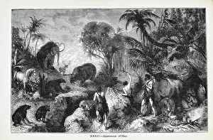 Appearance of Man